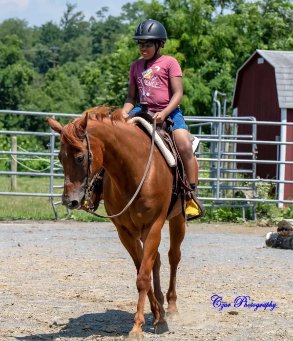 rs=w_1280,h_1600 (2)